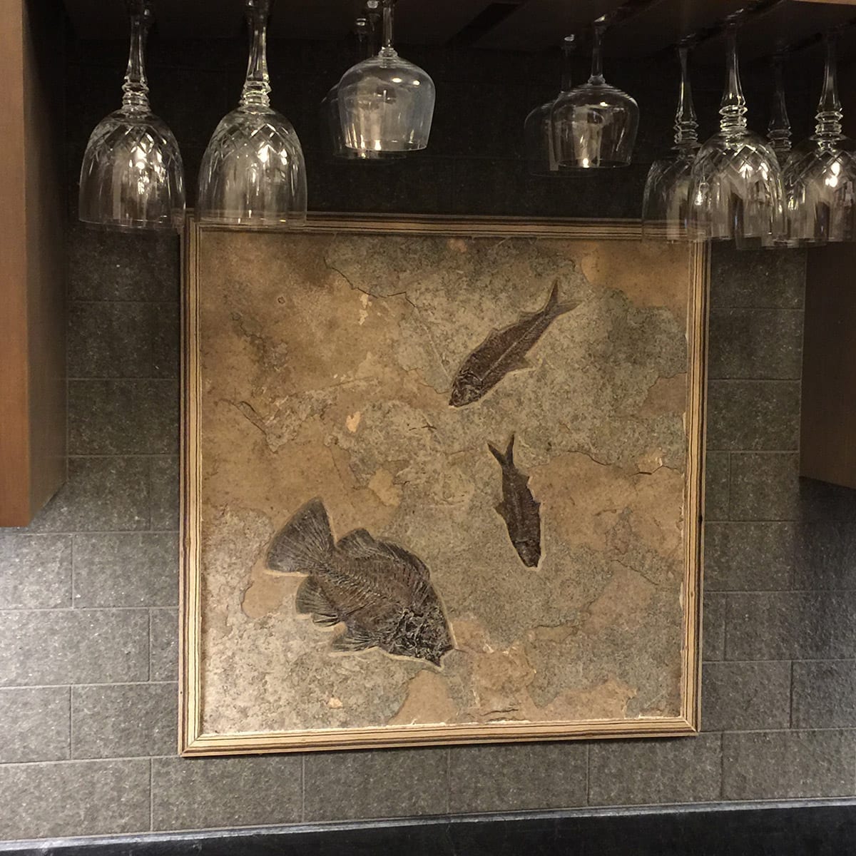 Prehistoric Fossil Tile Accent Behind A Bar